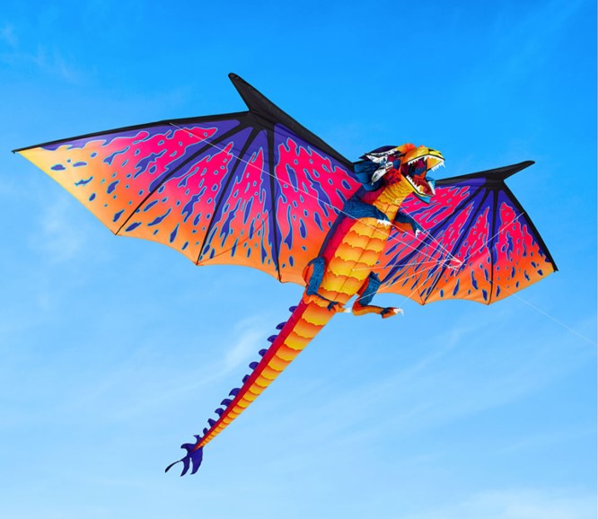 The 10 Foot Dragon Kite